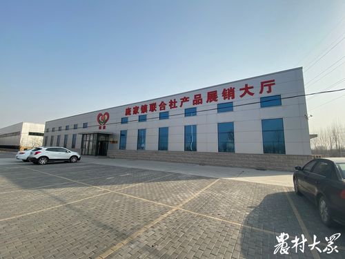 从田头到市场 博兴庞家镇合作社联合社的创新实践